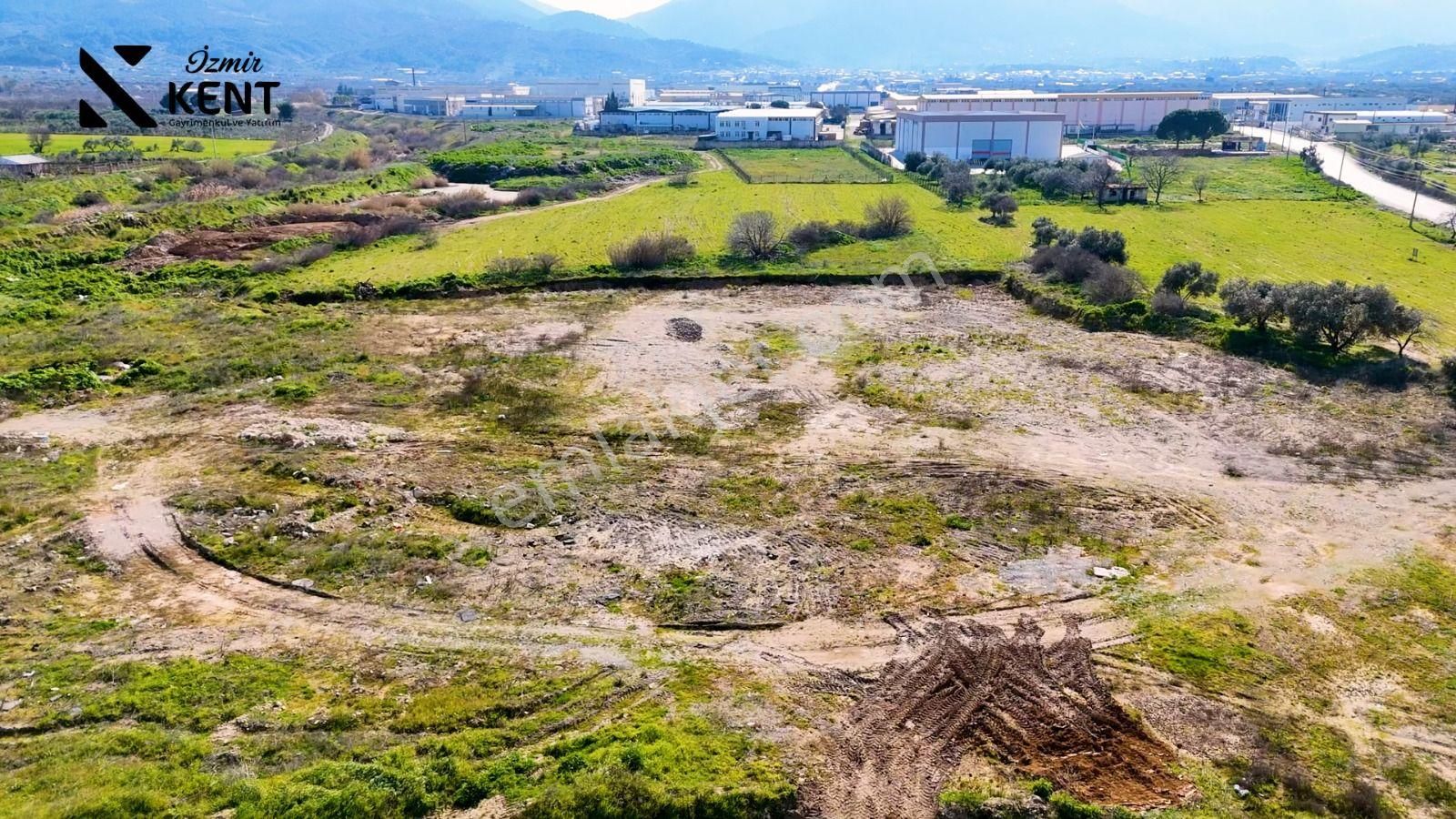 İzmir Kemalpaşa Satılık Arazi Kemalpaşa Armutlu Satılık 10005 M2 Arazi Sanayi Yoluna Cepheli