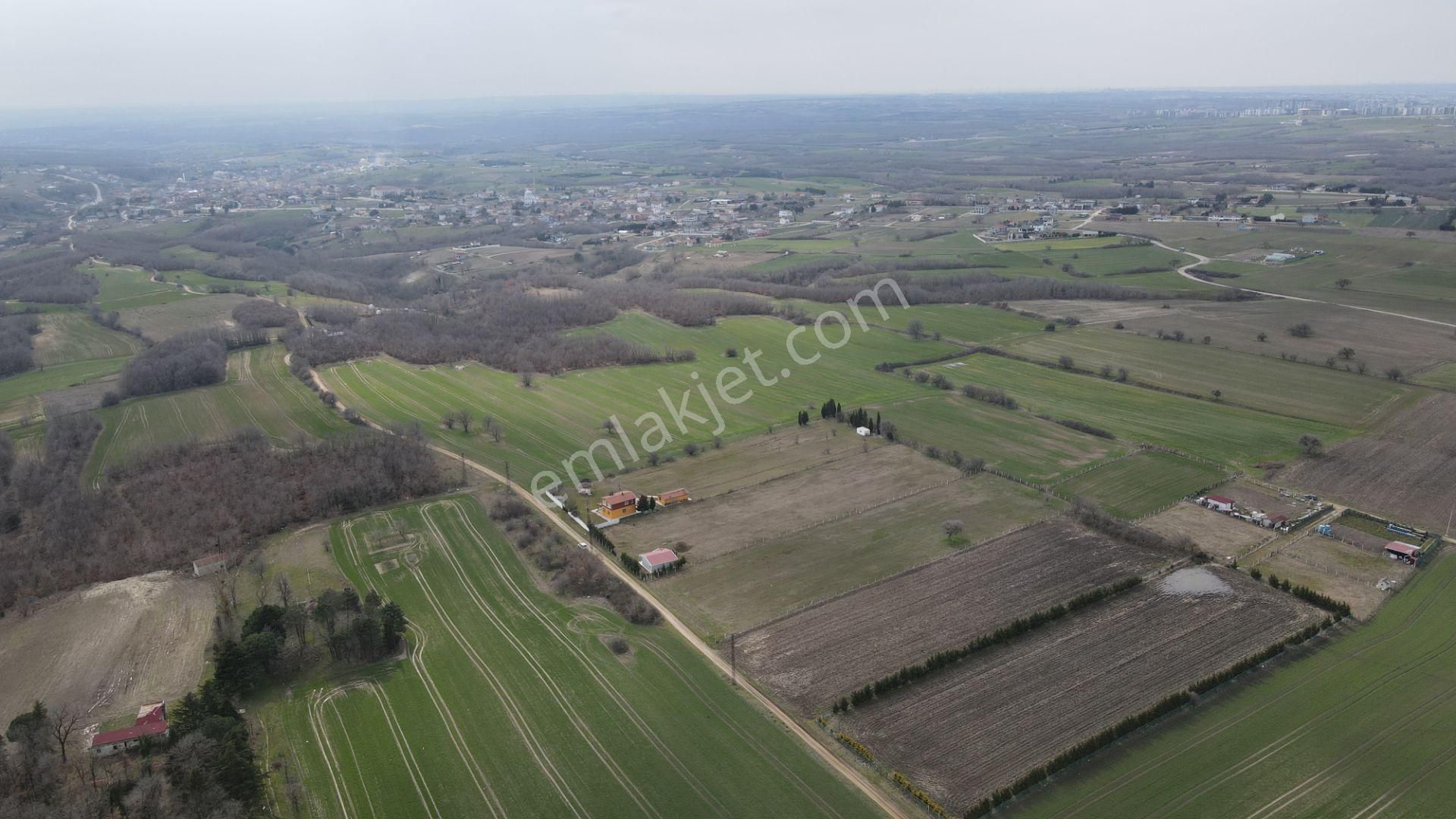 Silivri Büyükçavuşlu 7 Dönüm Tek Tapu - Görsel 8
