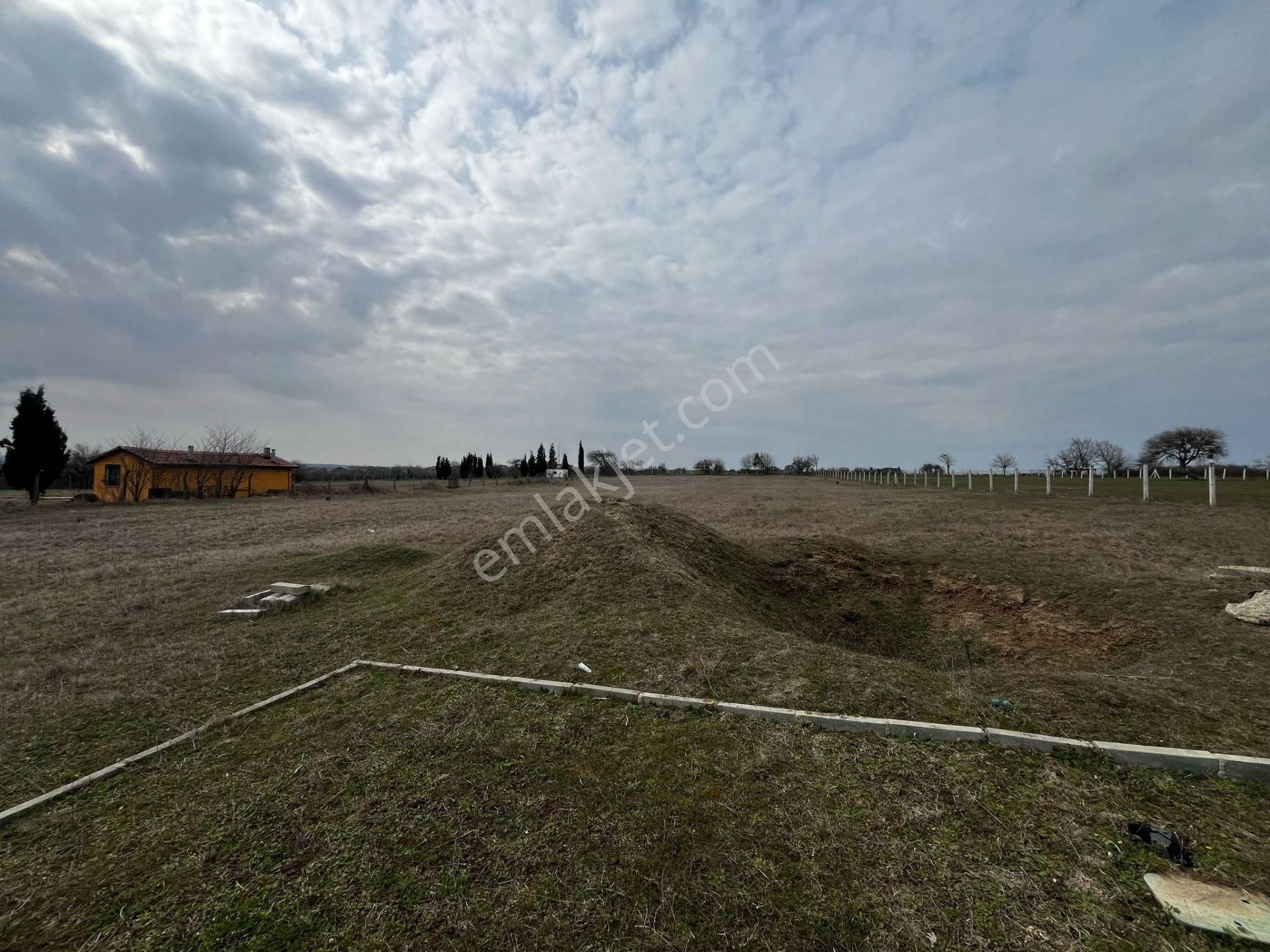 Silivri Büyükçavuşlu 7 Dönüm Tek Tapu - Görsel 22