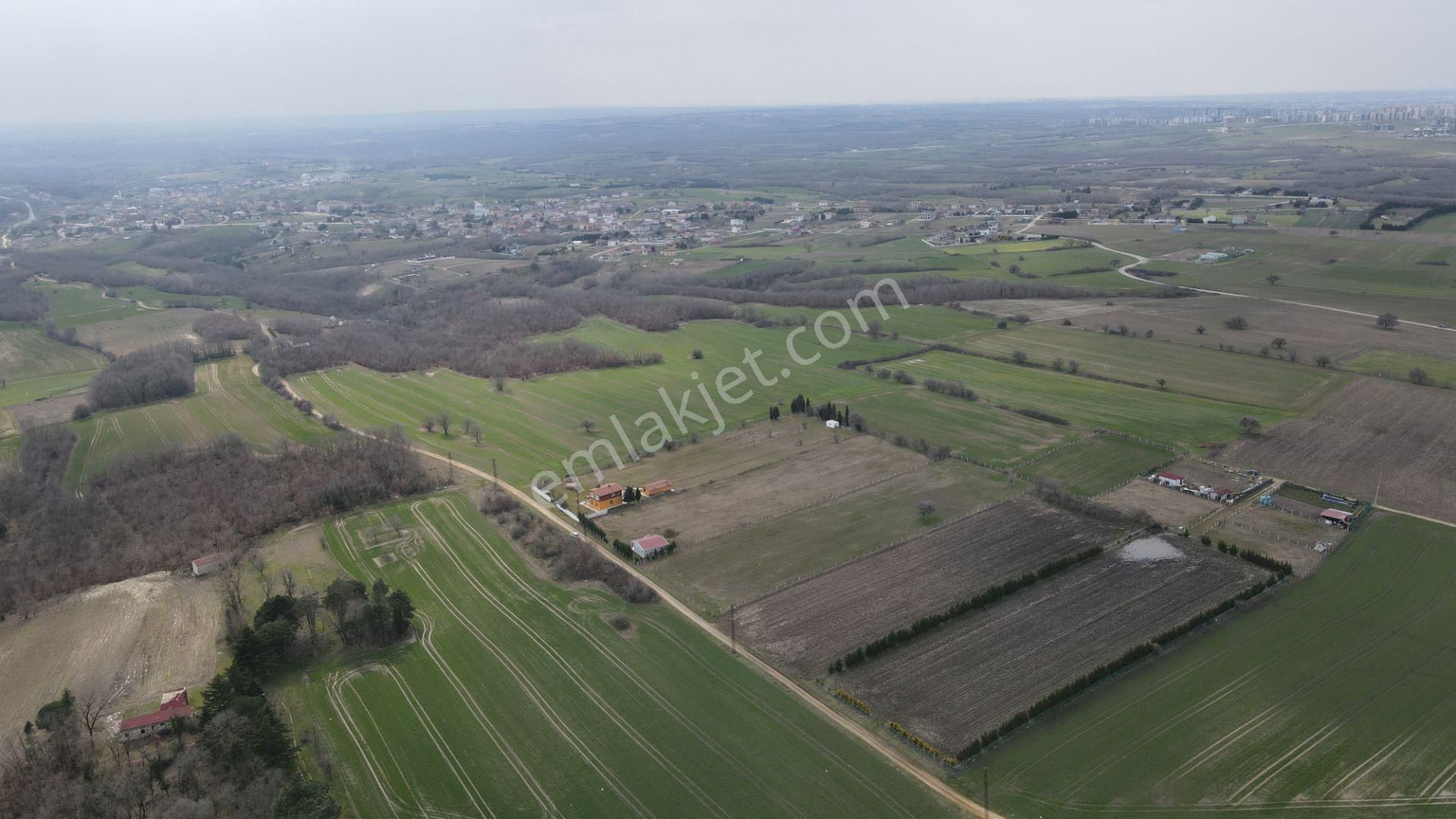 Silivri Büyükçavuşlu 7 Dönüm Tek Tapu - Görsel 11