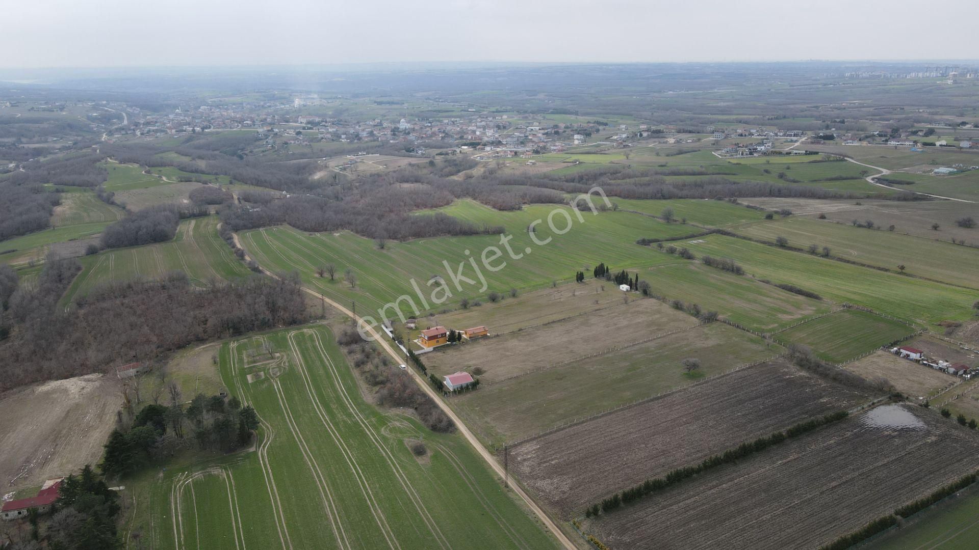 Silivri Büyükçavuşlu 7 Dönüm Tek Tapu - Görsel 6