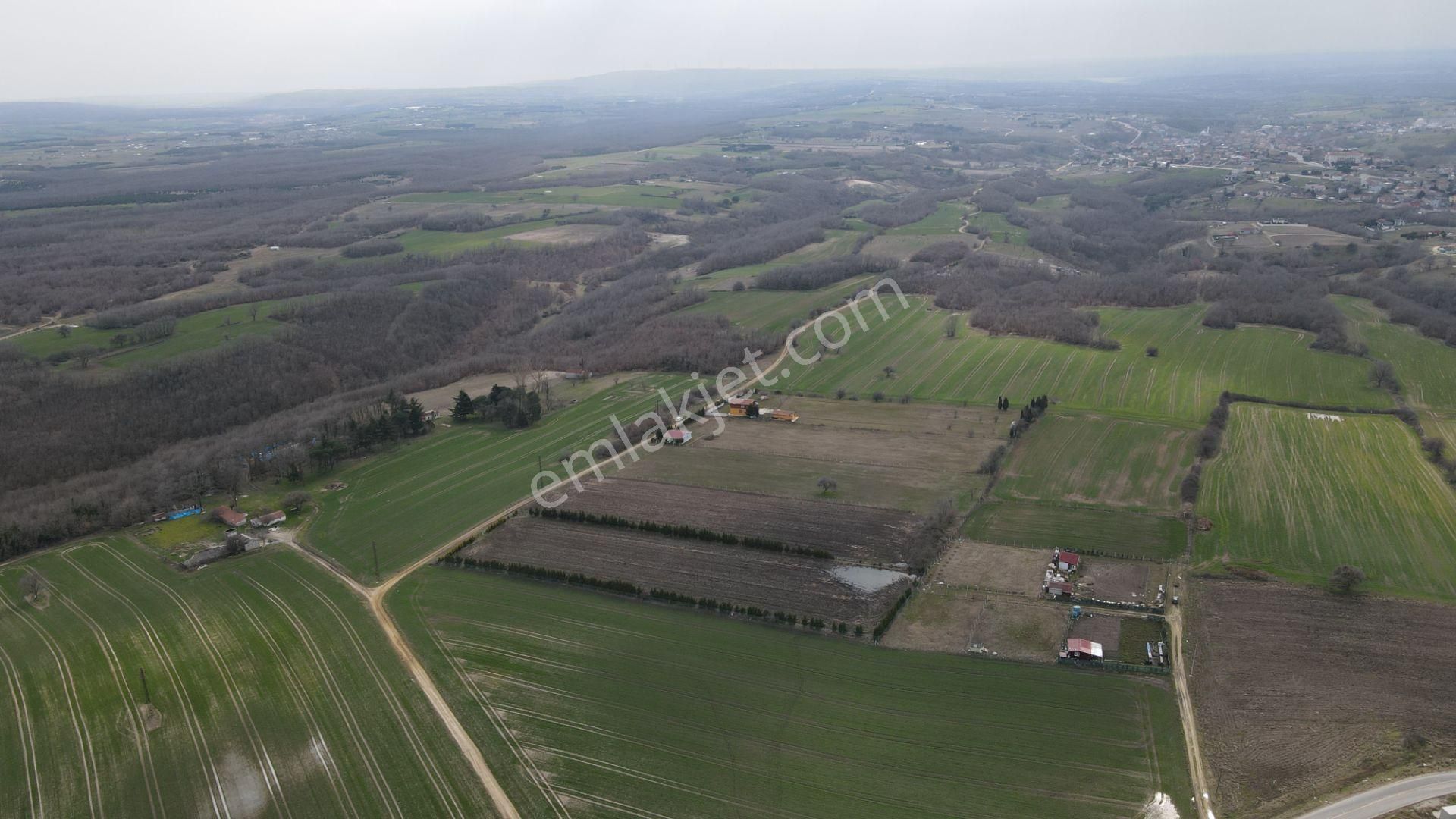 Silivri Büyükçavuşlu 7 Dönüm Tek Tapu - Görsel 14