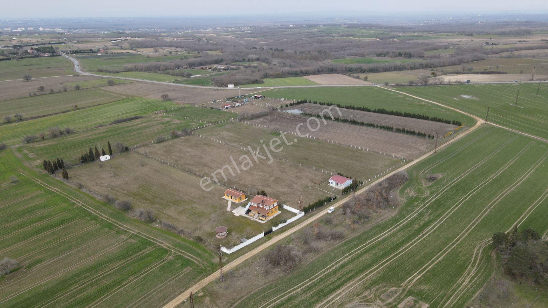 Silivri Büyükçavuşlu 7 Dönüm Tek Tapu - Görsel 5
