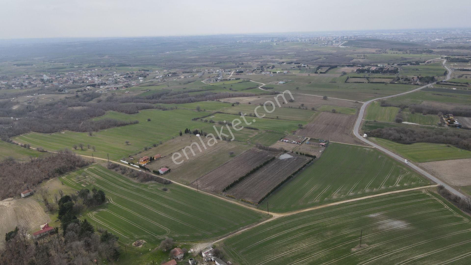 Silivri Büyükçavuşlu 7 Dönüm Tek Tapu - Görsel 12