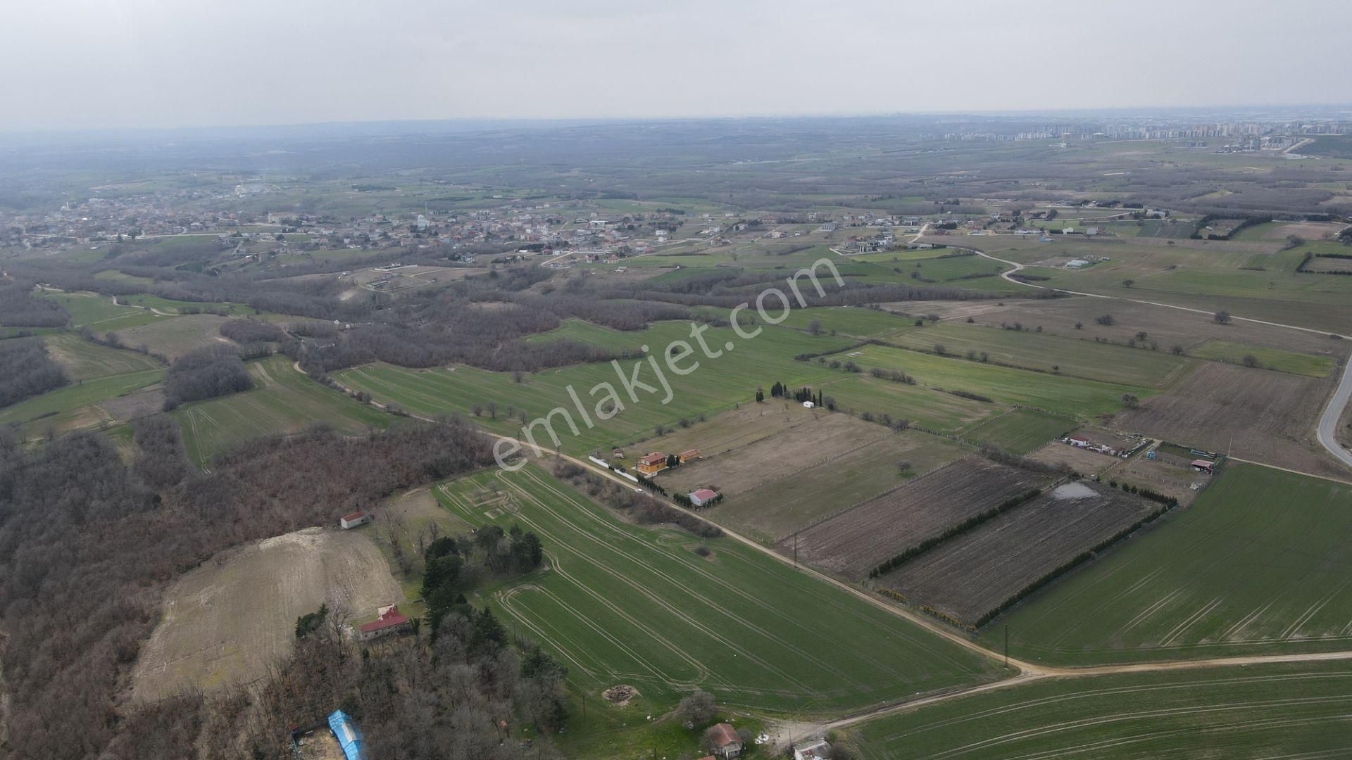 Silivri Büyükçavuşlu 7 Dönüm Tek Tapu - Görsel 13