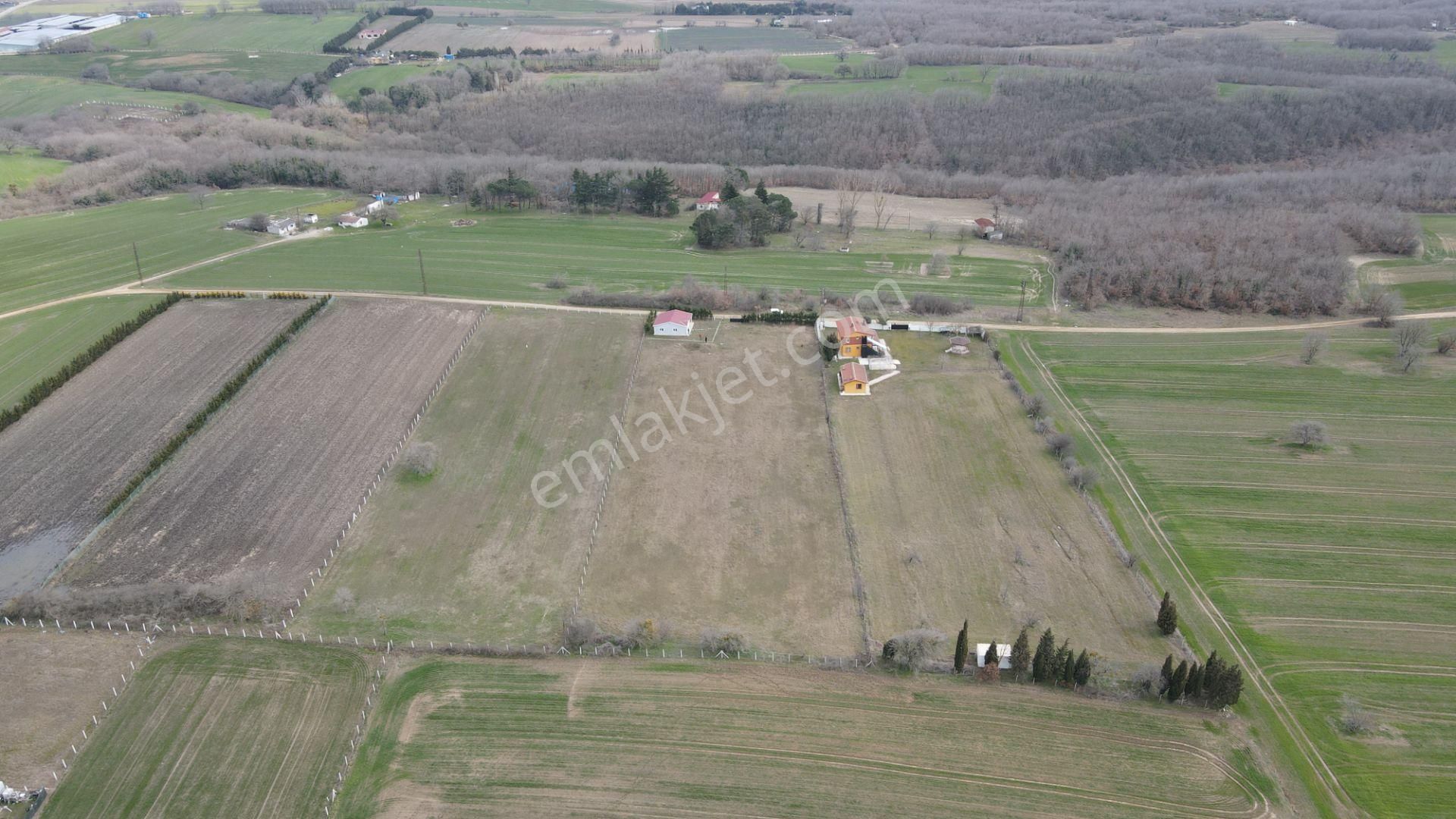 Silivri Büyükçavuşlu 7 Dönüm Tek Tapu - Görsel 16