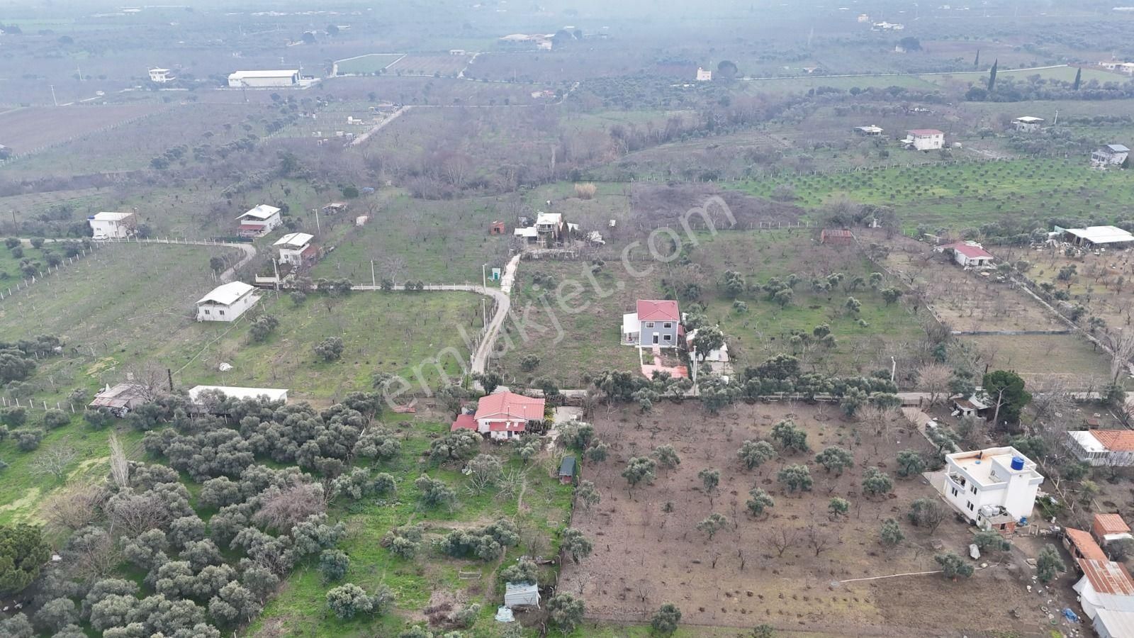 Kemalpaşa Mehmet Akif Ersoy Satılık Bağ & Bahçe Kemalpaşa M. Akif Ersoy Satılık Bahçe 3361 M2