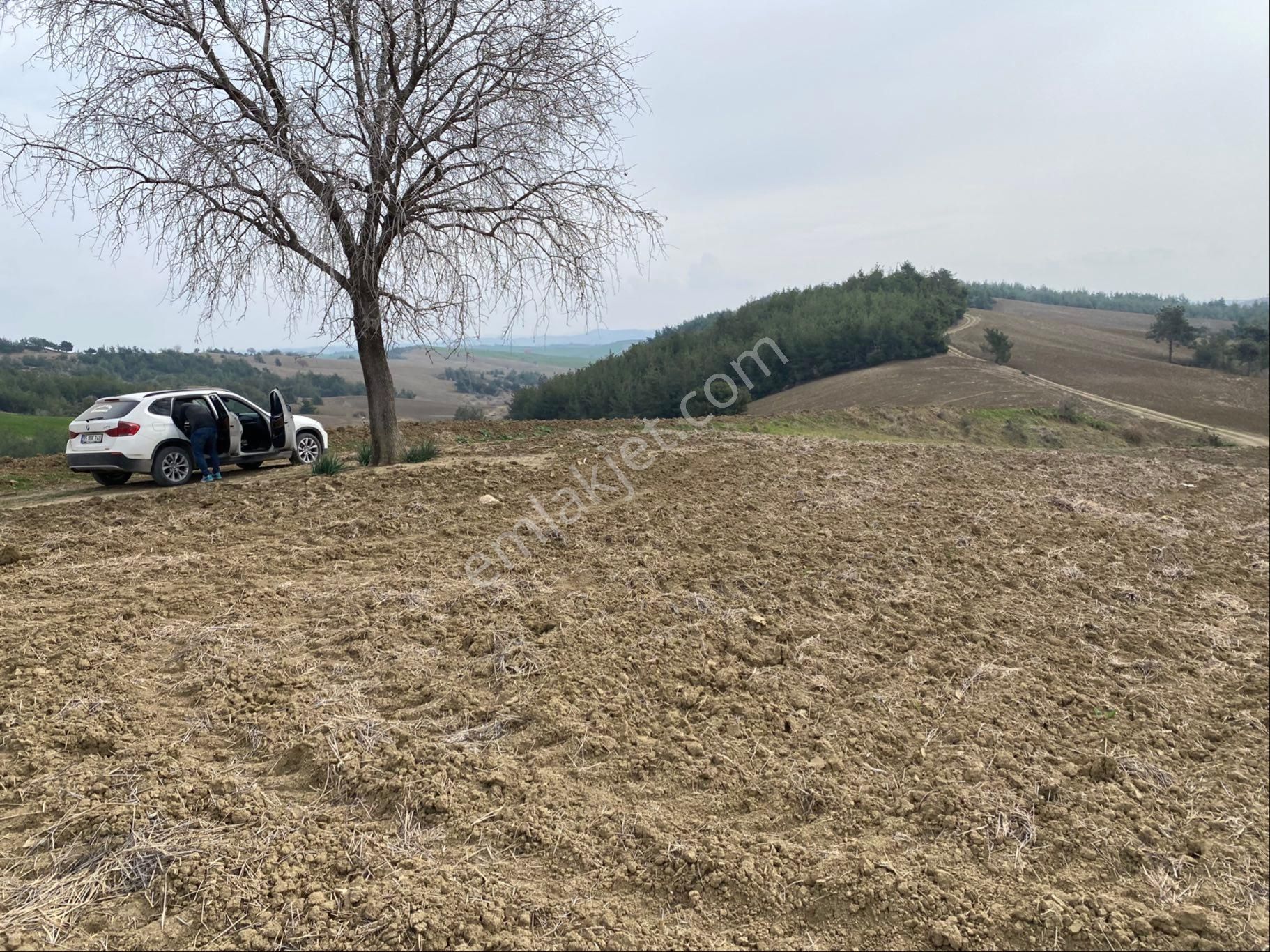 Karaisalı Durak Satılık Tarla Tek Tapu Kadasro Yola Cepheli