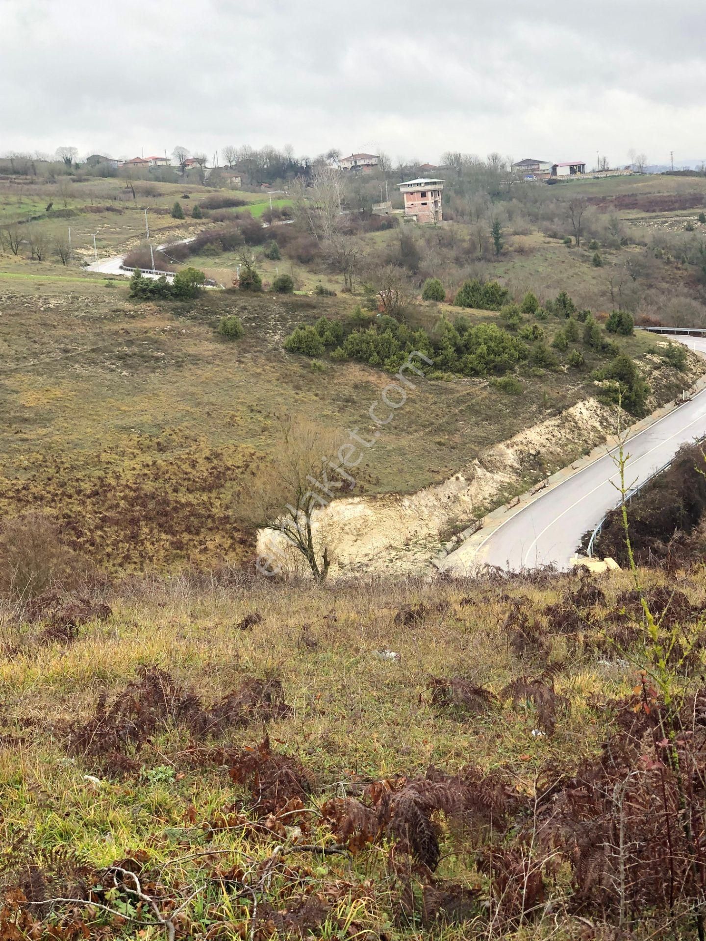 Kandıra Çalyer'de 6.187,12 M2 Satılık Arsa %5 İmarlı - Görsel 5