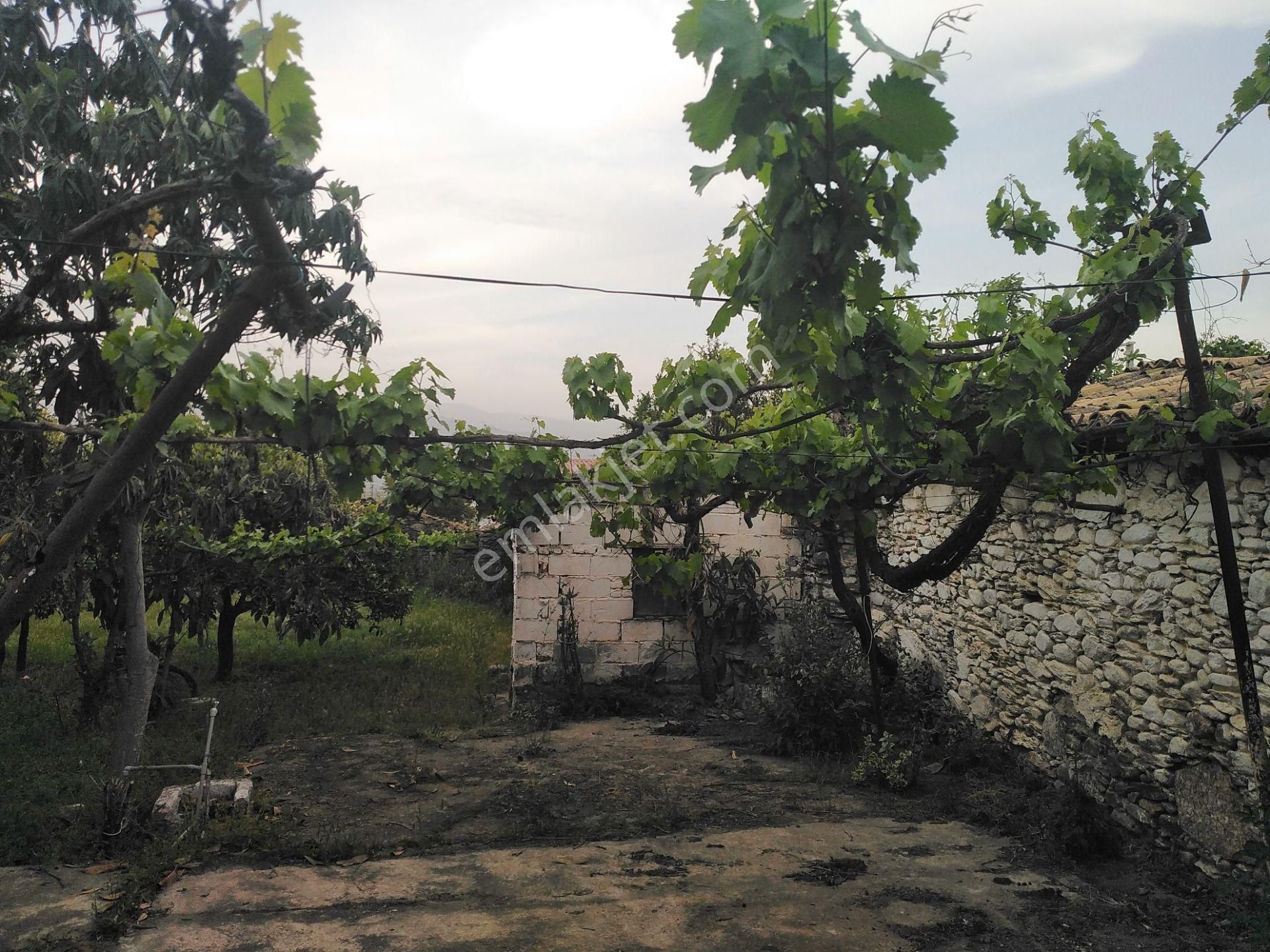 Aydın Nazilli Yöntem Emlaktan Yenipazar Donduran Mahallesinde Satılık 3+1 Müstakil Ev Ve Dükkan - Görsel 14