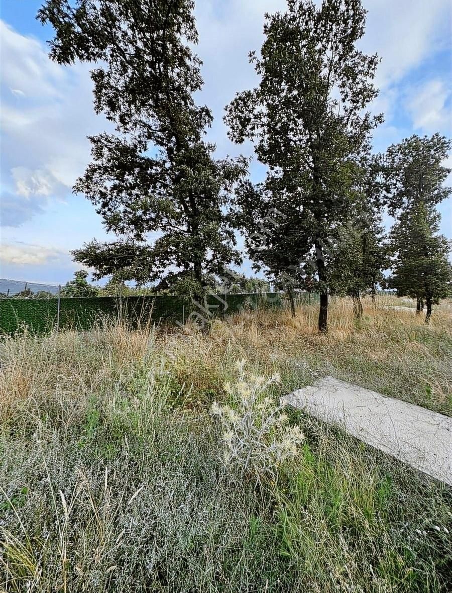 Kaşıkçıoğlugayrimenkul'den Satılık Bungalov Arsası - Görsel 6