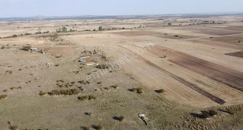 Süloğlu Tatarlar Köyü Satılık Tarla **edirne Tatarlar 11.109 M2 Köye Yakın**