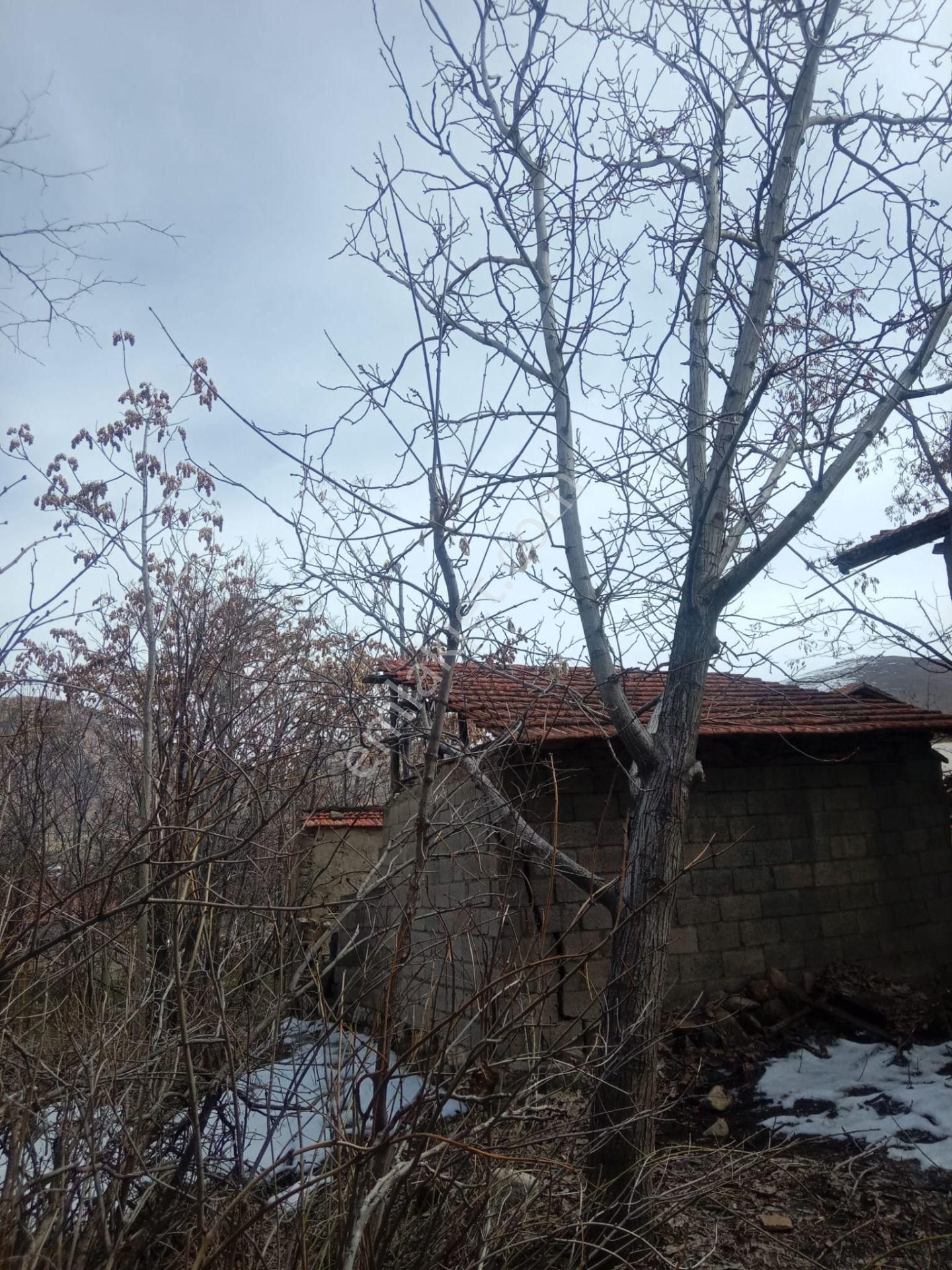 120 Yıllık Muradoğlu Konağını Satıyoruz - Görsel 33