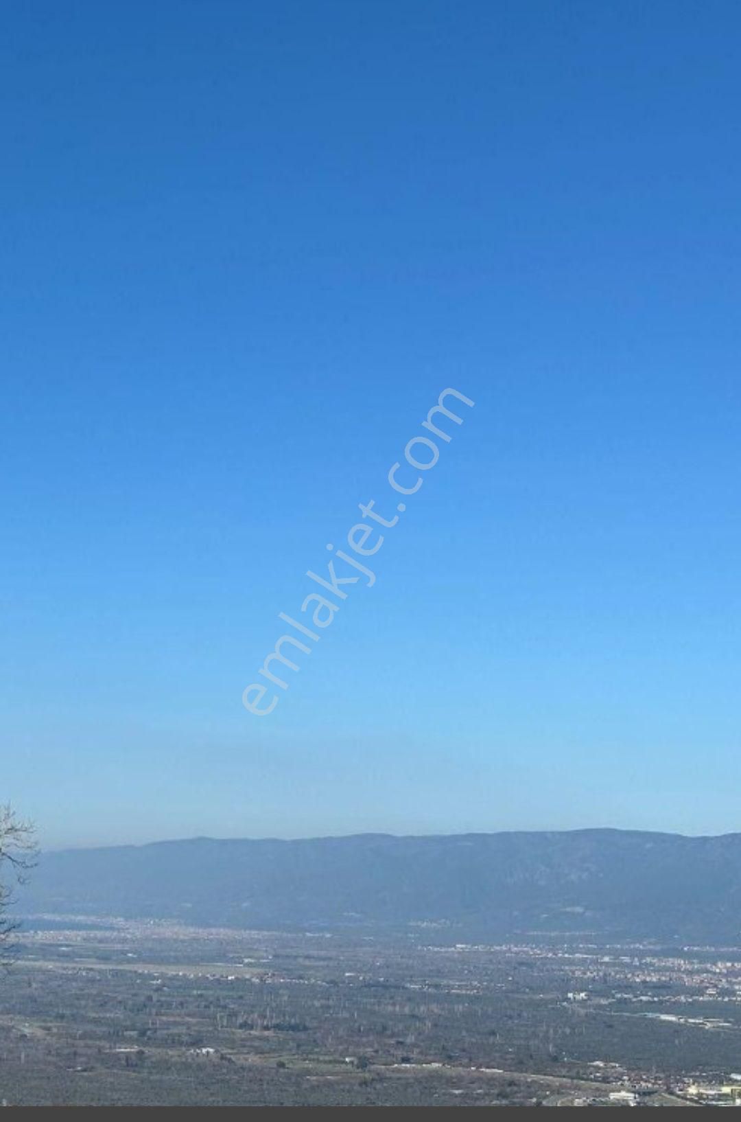 Yaylada Kazdağları Ve Körfez Manzaralı Satılık Bahçe - Görsel 3