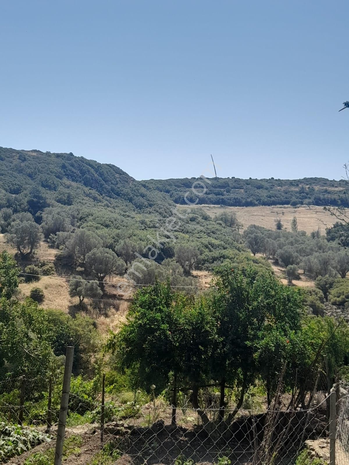 Karaburun Salman Köy İçi Tek Tapulu Tarla - Görsel 6