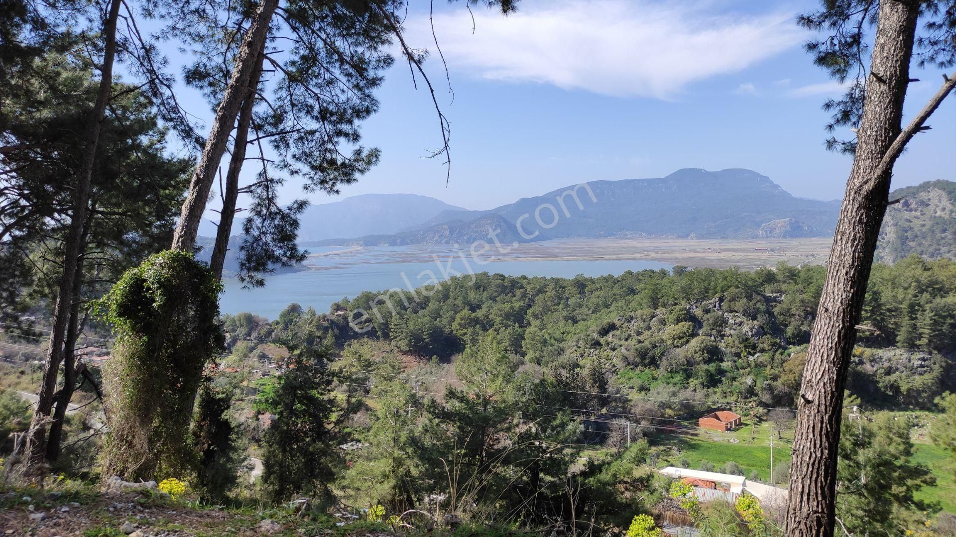 Dalyan Gökbelde Satılık Toplam 1329 M2 (gba20) - Görsel 11