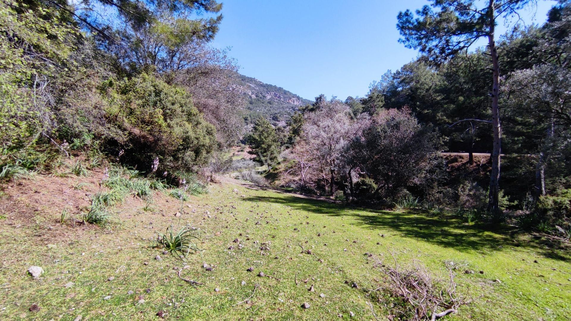 Dalyan Gökbelde Satılık Toplam 1329 M2 (gba20) - Görsel 3