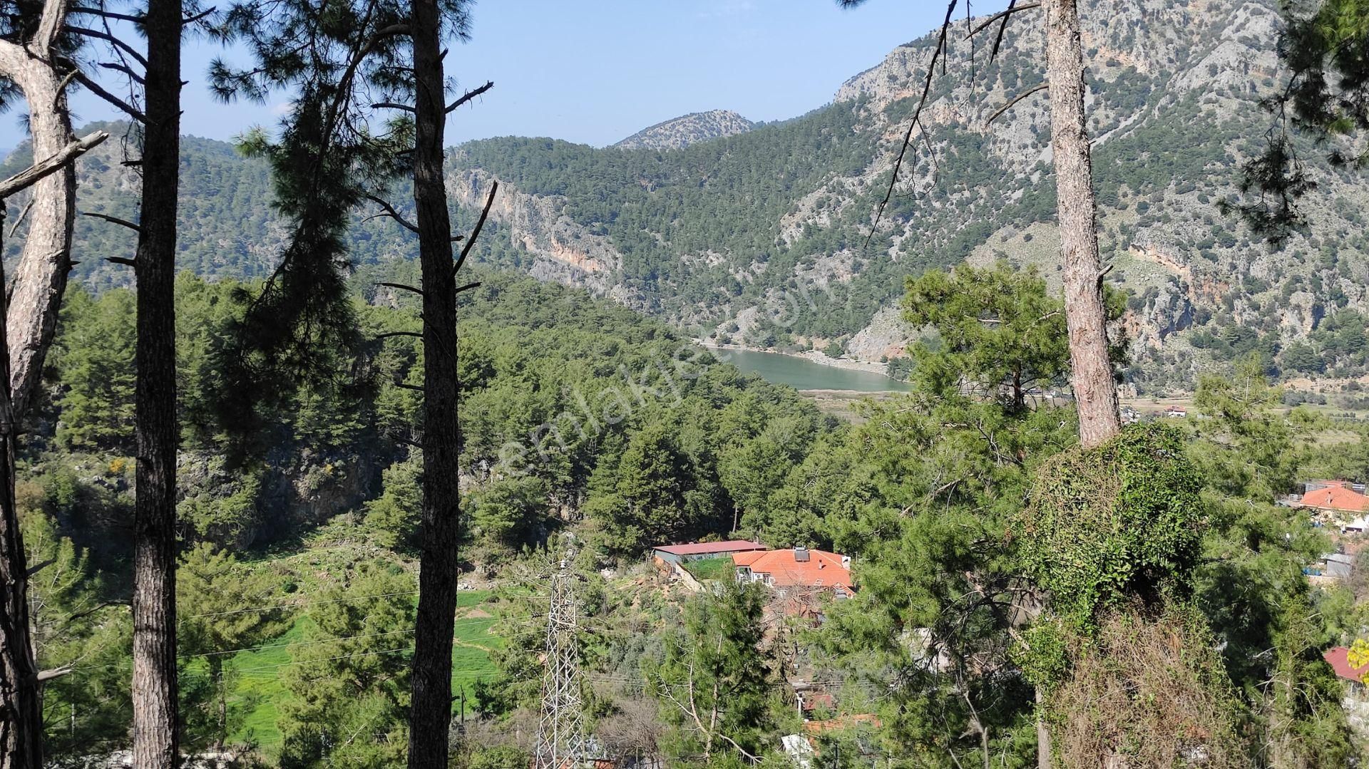 Dalyan Gökbelde Satılık Toplam 1329 M2 (gba20) - Görsel 12