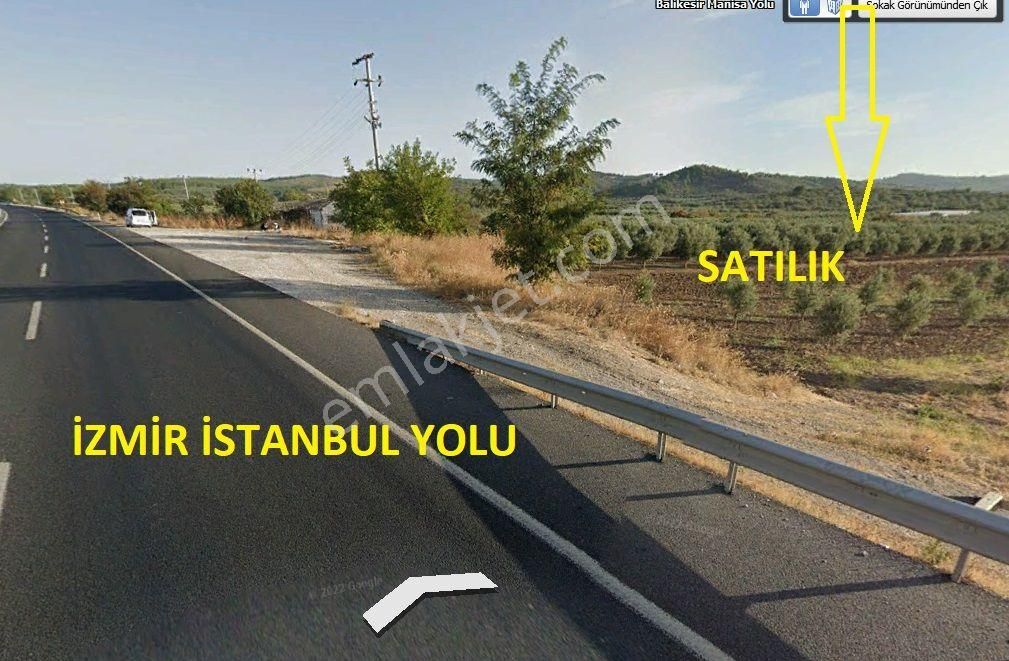 Akhisar Selçikli Satılık Zeytinlik İzmir İstanbul Yolu Üzeri 8 Dönüm Satılık (emin'den)