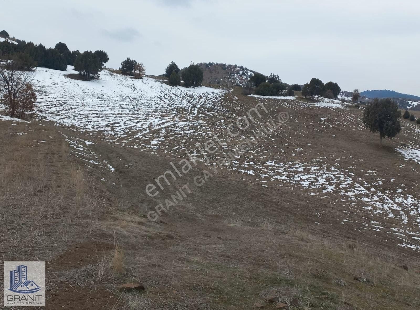 Çekerek Arpaç Köyü Satılık Tarla Granit Gayrimenkulden Yozgat Çekerek Arpaçta 9,115 M2 Tarla