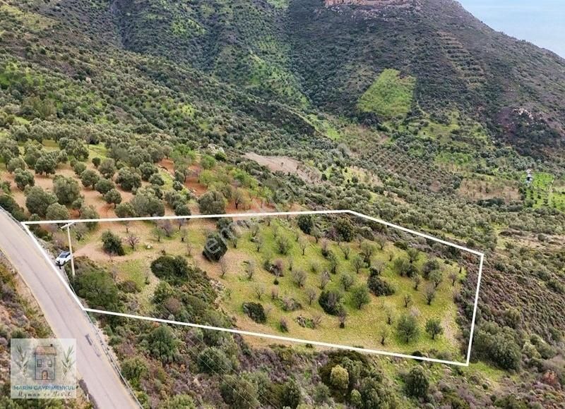 Marinden Yazı Mah. Eşsiz Deniz Manzaralı Yatırımlık Bademlik - Görsel 2