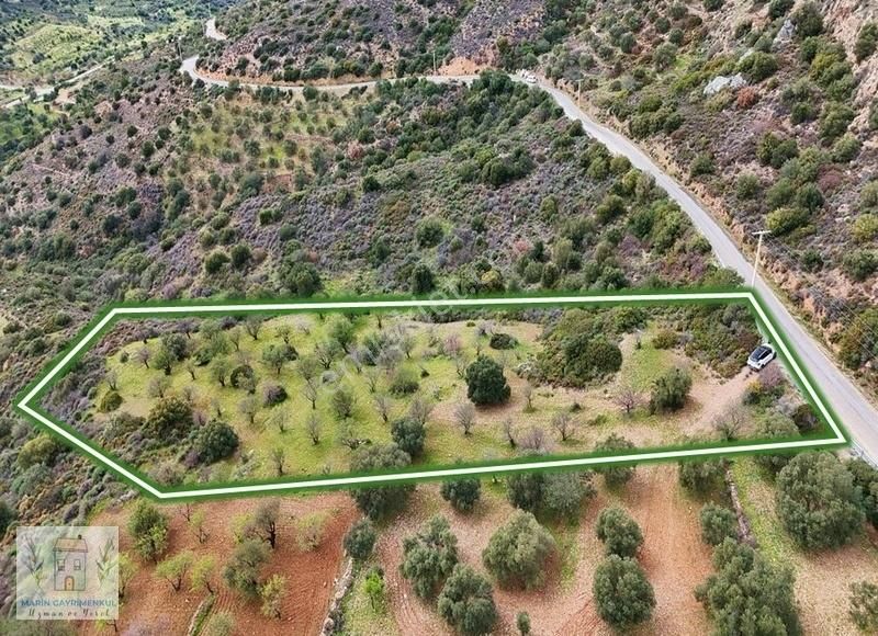 Marinden Yazı Mah. Eşsiz Deniz Manzaralı Yatırımlık Bademlik - Görsel 6