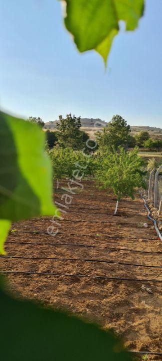 Meram Karadiğinde 2.800 M2 Müstakil Tapulu Satılık Bahçe - Görsel 9