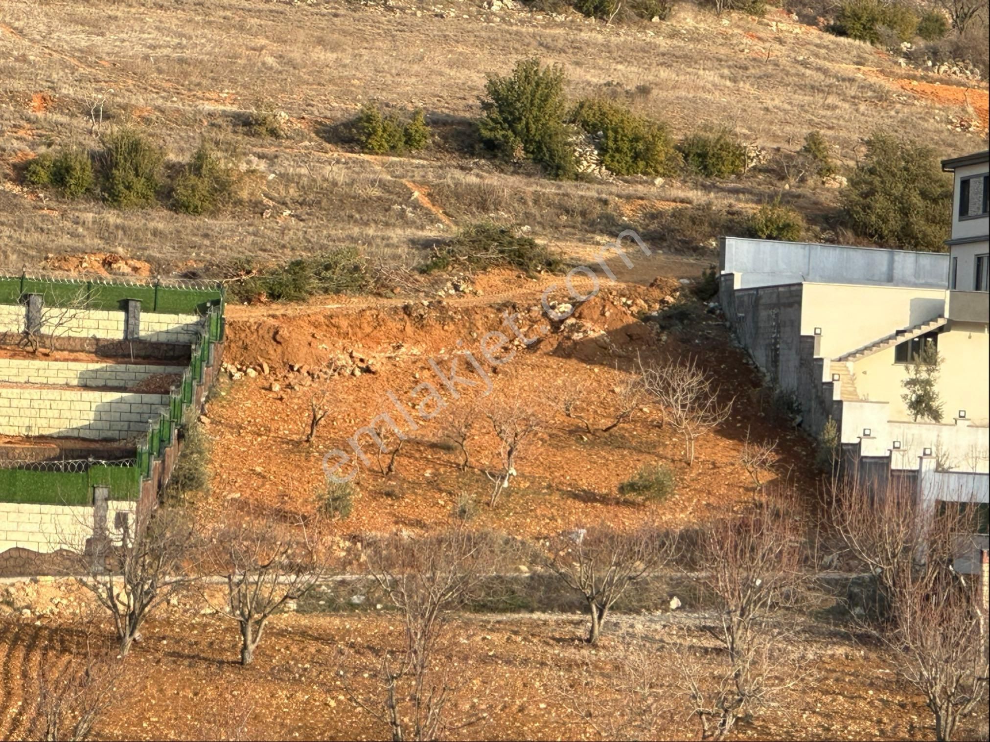 Şehitkamil İncesu Satılık Tarla İncesu Bağ Evlik Tarla Sahibinden