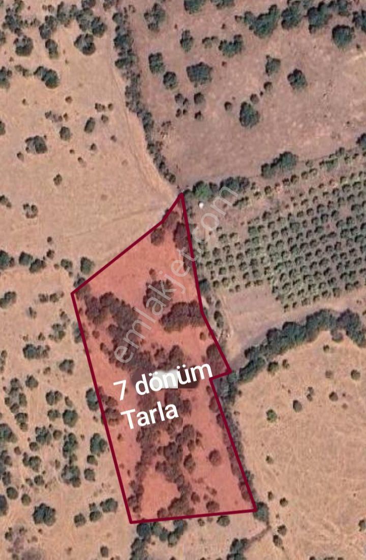 Menemen Görece'de 7 Dönüm Satılık Tarla - Görsel 2