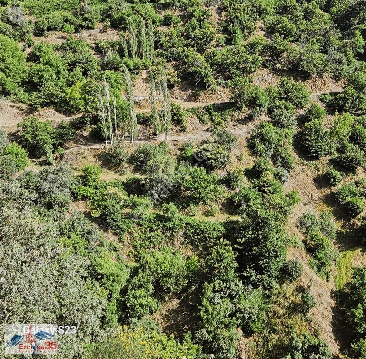 Ceviz Ve Kestane Bahçesi Yol & Su Mevcut 9.578 M2 - Görsel 14