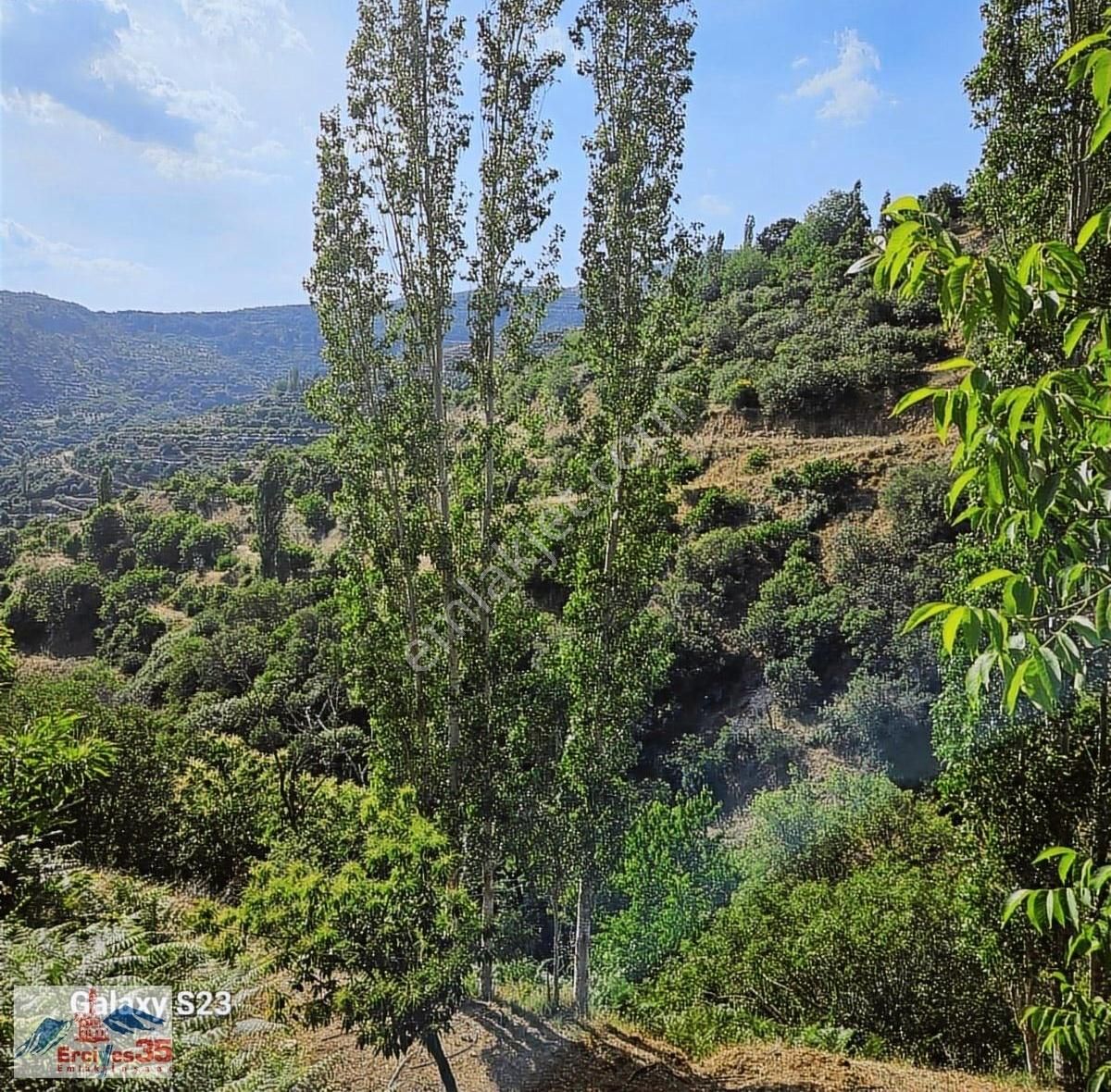 Ceviz Ve Kestane Bahçesi Yol & Su Mevcut 9.578 M2 - Görsel 2