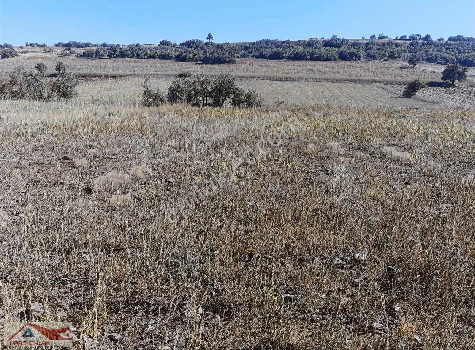 Karamanlı Dereköy De Yolu Açık Ana Yola Yakın Yatırımlık Kaçmaz - Görsel 7