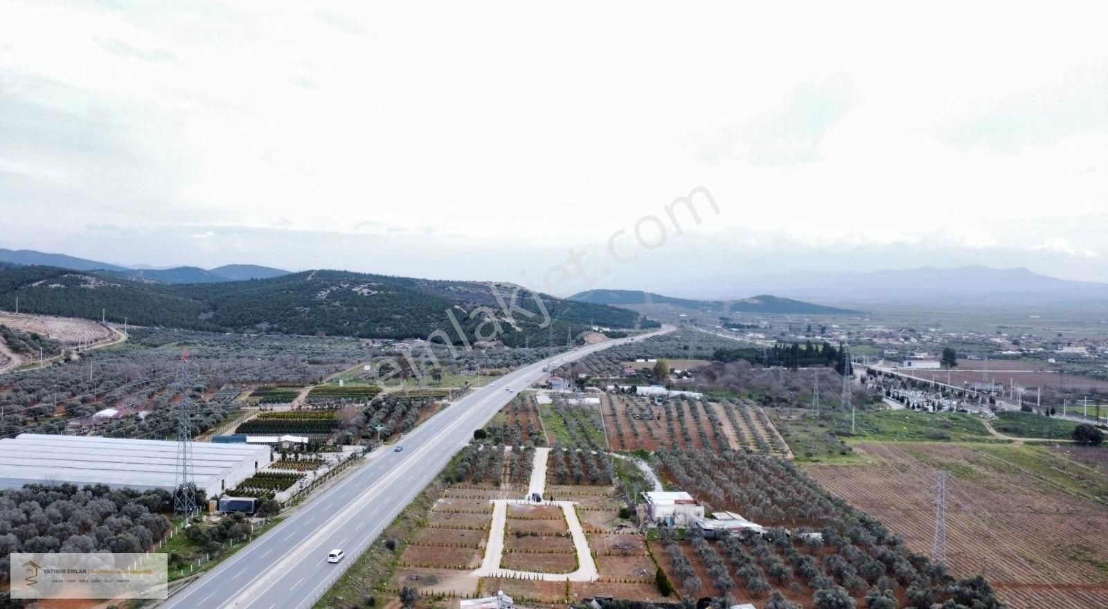 Yatırım Emlak'tan Asfalt Cepheli Satılık Zeytinlik. - Görsel 19