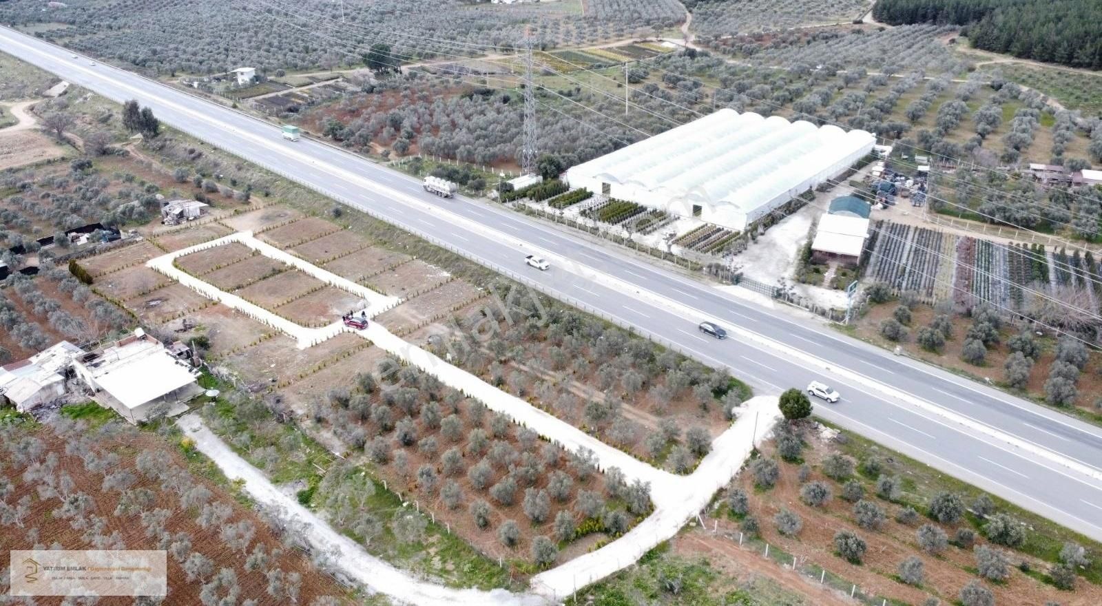 Yatırım Emlak'tan Asfalt Cepheli Satılık Zeytinlik. - Görsel 10
