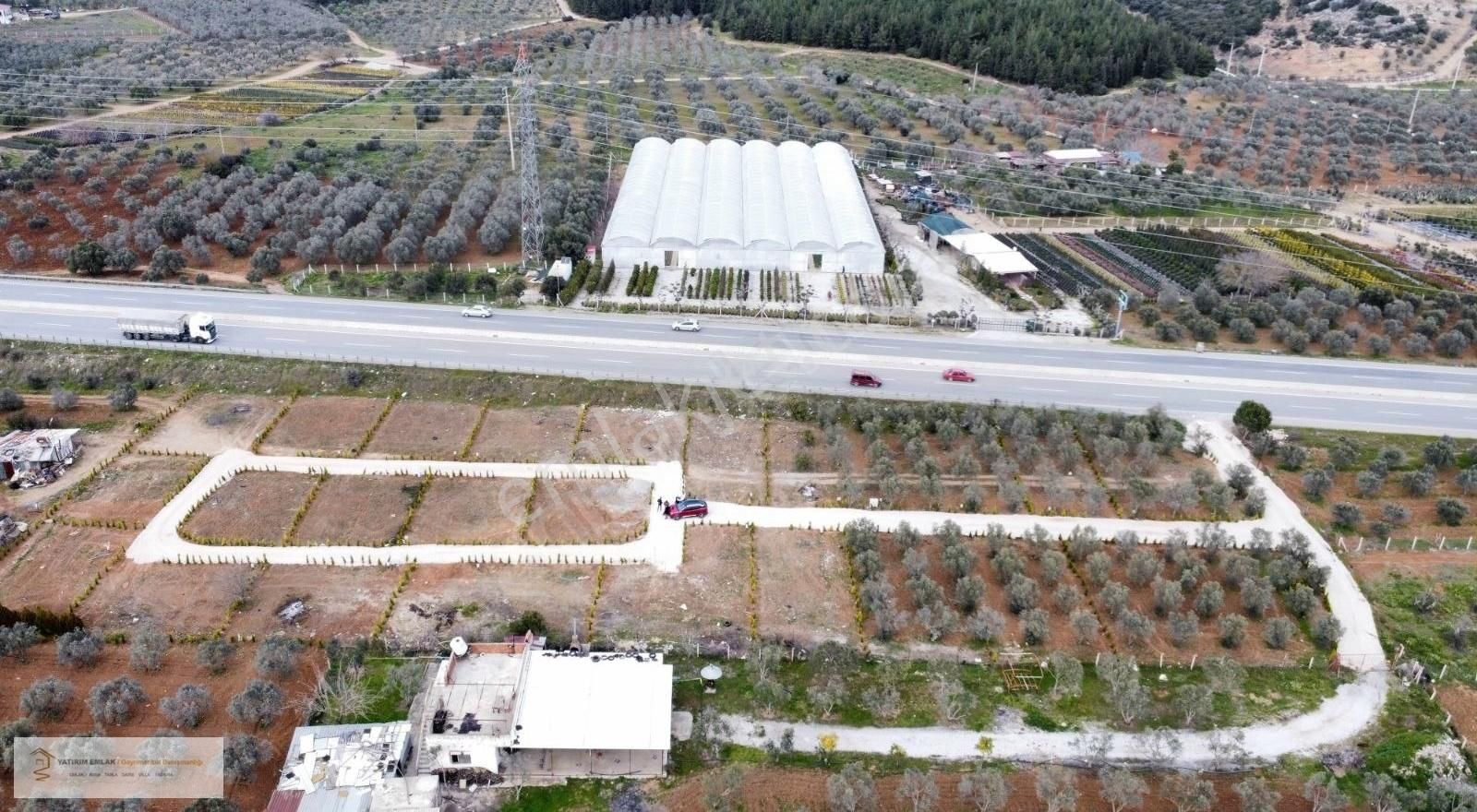 Yatırım Emlak'tan Asfalt Cepheli Satılık Zeytinlik. - Görsel 16