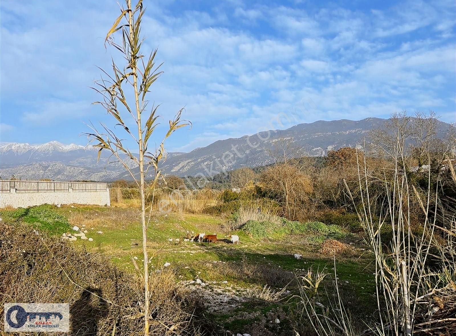 Seydikemer Demirler Köy Yerleşkesi İçersinde Satılık Arazi - Görsel 5