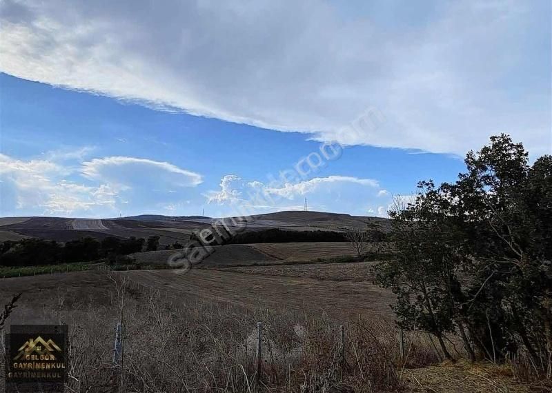 Silivri Büyükkılıçlı'da İmar Sınırında 3680m2 Satılık Arsa - Görsel 6