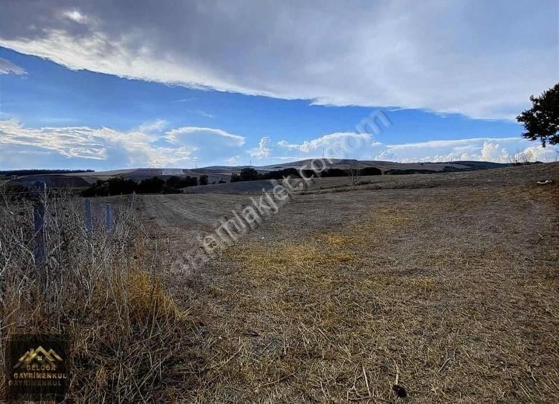 Silivri Büyükkılıçlı'da İmar Sınırında 3680m2 Satılık Arsa - Görsel 8