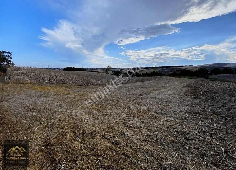 Silivri Büyük Kılıçlı Satılık Tarla Silivri Büyükkılıçlı'da İmar Sınırında 3680m2 Satılık Arsa