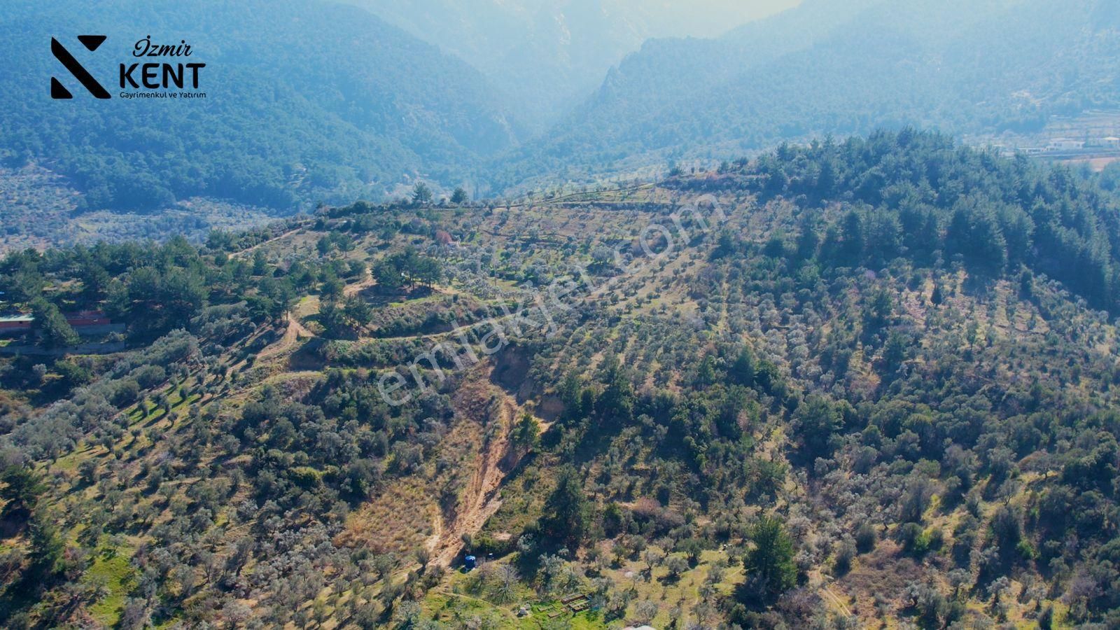 Kemalpaşa Yukarıkızılca Satılık 335 M2 Bahçe Elektrik Su Yol - Görsel 17
