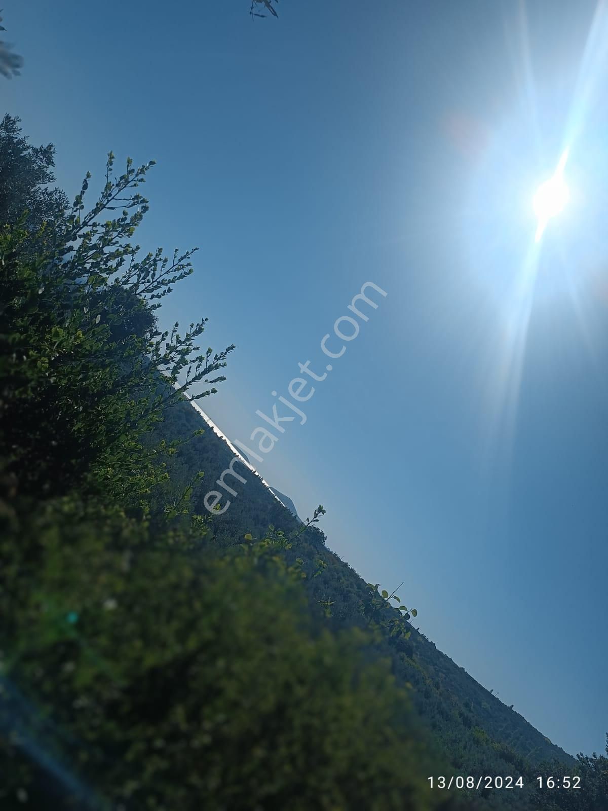 Balıkesir Erdek Hamamlı Mah. 2.067 M2 Satılık Zeytinlik Yatırımlık - Görsel 13
