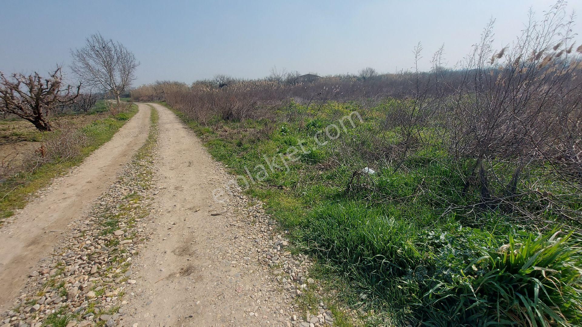 Turgutlu Atatürk Satılık Tarla Sinan Emlak Tan 9.mıntıka Da 7100 M2 Boş Tarla