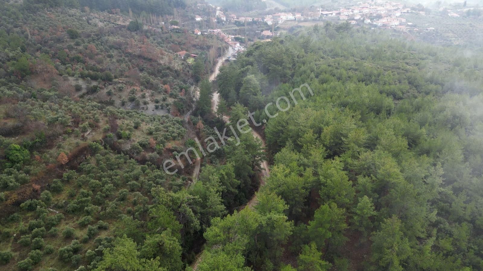 Menteşe Yeniköy Yerkesik Satılık Tarla Muğla Koku Vadisinde Satılık Tarla