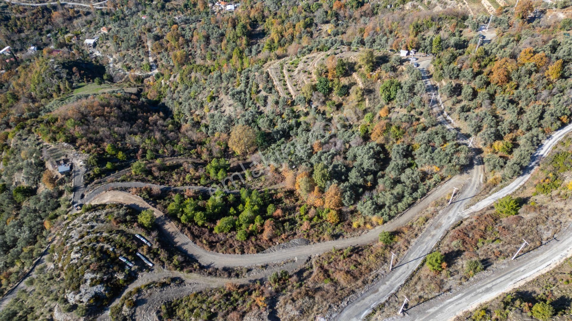 Alanya Mahmutseydi Satılık Tarla Alanya Mahmutseydi 2000 M2 Deniz Manzaralı Köy Yerleşim Alanında