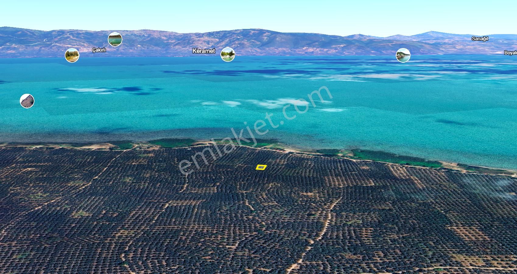 C21 Cius; Orhangazi Sölöz 560m2 Satılık Zeytinlik - Görsel 2