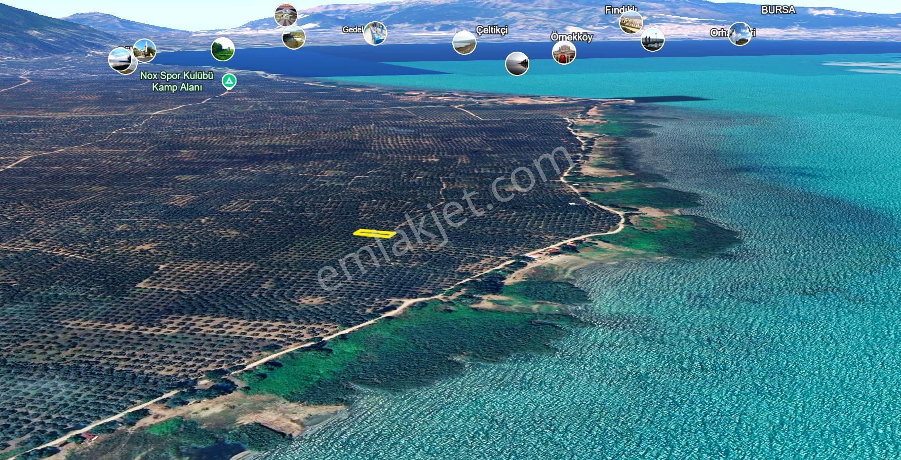 C21 Cius; Orhangazi Sölöz 560m2 Satılık Zeytinlik - Görsel 6