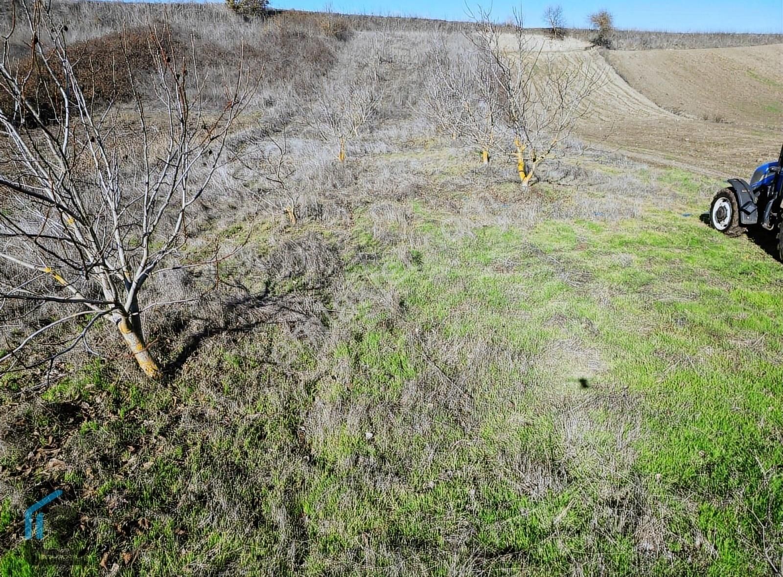 Karesi Kavaklı Satılık Tarla Kavaklı Mahallesi 2.351 M² Dere Kenarı Satılık Cevizlik