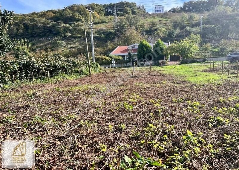 Atakum Camii Satılık Konut İmarlı Truva'dan Taflan'da Yola Cephe Müstakil Tapulu Satılık Arsa