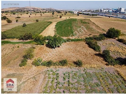 Era Söz Den Balıkesir Gökköy Satılık Bahçe - Görsel 3
