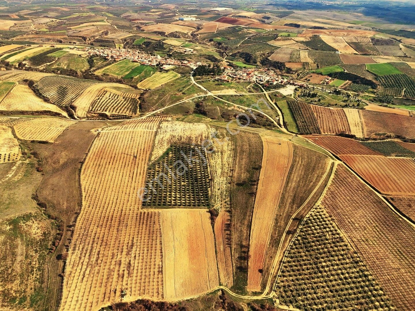 Salihli Akviran'da Satılık 31500 M2 Zeytinlik Ve Boş Tarla Video - Görsel 10